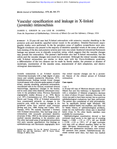 Vascular opacification and leakage in X-linked