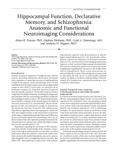 Hippocampal Function, Declarative Memory, and Schizophrenia