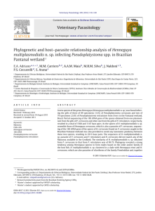 Phylogenetic and host–parasite relationship analysis of Henneguya