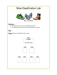 Shoe Classification Lab