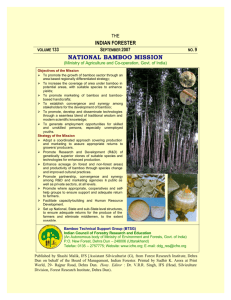 NATIONAL BAMBOO MISSION