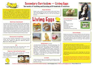 Living Eggs Australian Secondary A3 Poster