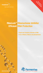 RiboLock™ Ribonuclease Inhibitor