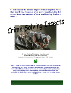 Crime Solving Insects - Integrated Pest Management