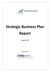 Strategic Business Plan Report