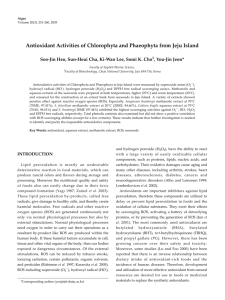 Antioxidant Activities of Chlorophyta and Phaeophyta from