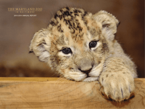 2013-2014 annual report - The Maryland Zoo in Baltimore
