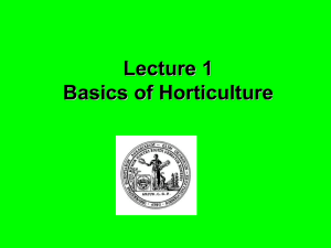 Lecture 1 Basics of Horticulture