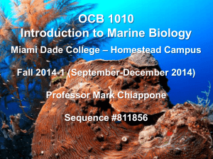 OCB 1010 Marine Biology MW 10 AM Fall 2014-1