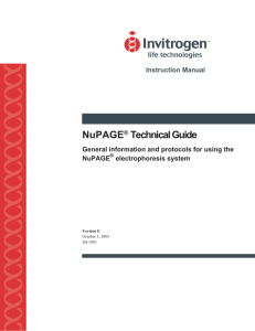 NuPAGE Technical Guide