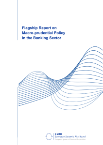 ESRB: Flagship Report on Macro-Prudential Policy in the Banking