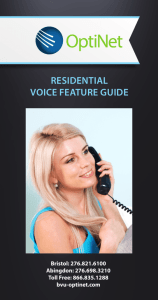 Voice Feature Guide