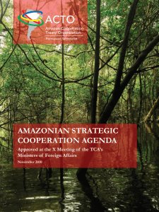 amazonian strategic cooperation agenda