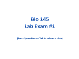 AP I Lab Exam 1