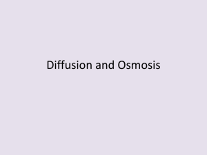 Diffusion and Osmosis Notes