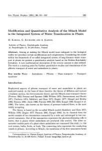 Modification and Quantitative Analysis of the Munch Model in the