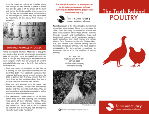 poultry - Farm Sanctuary