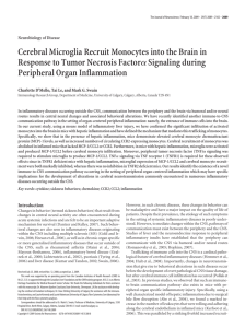 Cerebral Microglia Recruit Monocytes into the Brain in Response to
