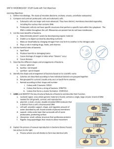 UNIT 8: MICROBIOLOGY STUDY Guide with Test Objectives