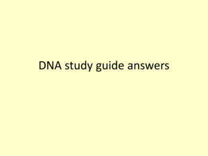 DNA study guide answers