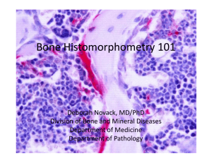 Bone Histomorphometry 101