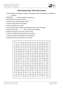 “DNA fingerprinting” Word Search Game