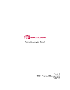 Financial Analysis Report