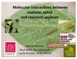 Molecular interacSons between soybean aphid and