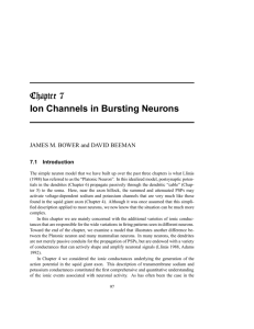 Ion Channels in Bursting Neurons