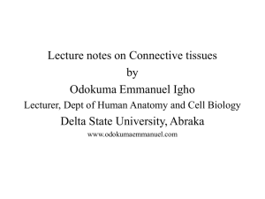 Lecture notes on Connective tissues by Odokuma Emmanuel Igho