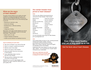 Heart Disease Pet-Owner Brochure