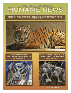 RESCUED! 7 BIG CATS FROM DEPLORABLE CONDITIONS IN
