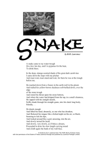 Snake - International School of Madrid