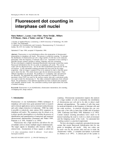 Fluorescent dot counting in interphase cell nuclei