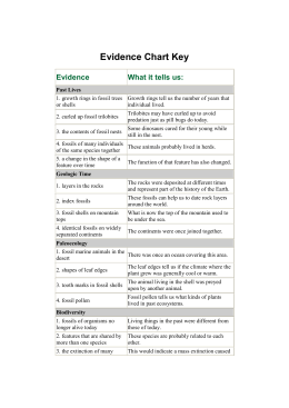 studylib.net - Essys, homework help, flashcards, research papers, book