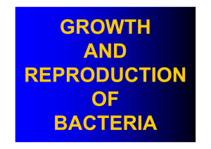 growth and reproduction of bacteria