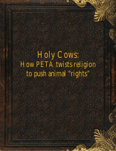 Holy Cows - PETA Kills Animals