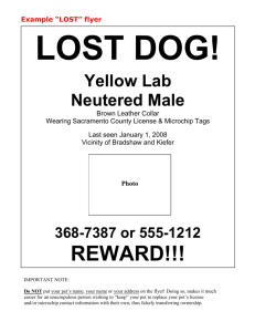 Example “LOST” flyer