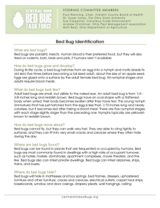 Bed Bug Identification Fact Sheet