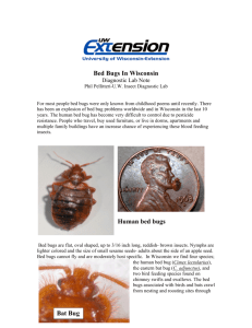 Bedbugs - Russell Labs Site Hosting