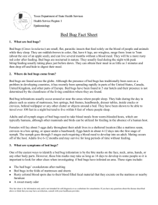 Bed Bug Fact Sheet - Texas Department of State Health Services