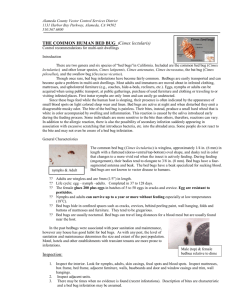 THE COMMON HUMAN BED BUG (Cimex lectularis) Inspection: