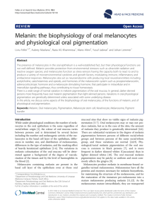 Melanin: the biophysiology of oral melanocytes and physiological