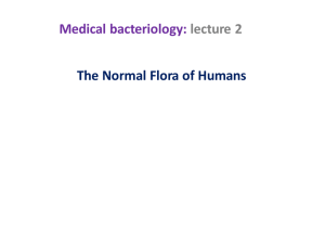 Medical bacteriology: lecture 2 The Normal Flora of Humans