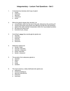Integumentary – Lecture Test Questions – Set 3