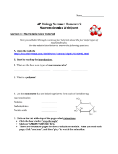 AP Biology Summer Homework Macromolecules WebQuest