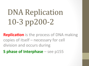 DNA Replication 10-‐3 pp200-‐2