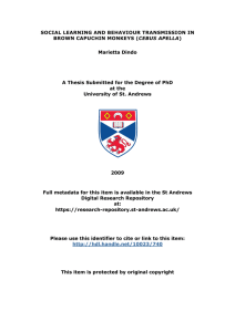 Marietta Dindo PhD thesis - University of St Andrews