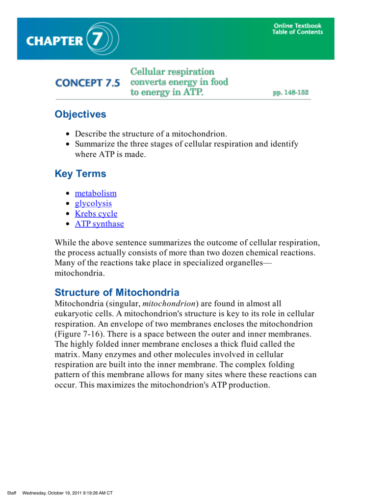 A Road Map For Cellular Respiration