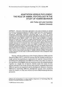 Adaptation versus phylogeny: The role of animal psychology in the
